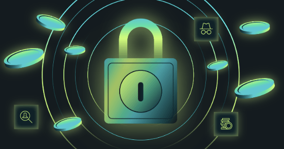 What Are Privacy Coins in Cryptocurrency?